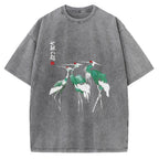 Unisex Dracula European Tour 1897 Distressed Version Printed Washed Tee