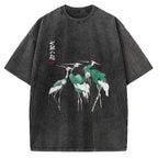 Unisex Dracula European Tour 1897 Distressed Version Printed Washed Tee