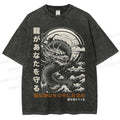 Unisex  Dragon Guardian Printed Washed Tee