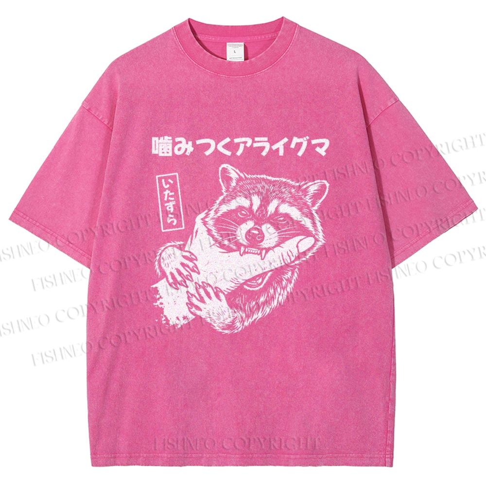Unisex Mischief Raccoon Printed Washed Tee