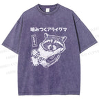 Unisex Mischief Raccoon Printed Washed Tee