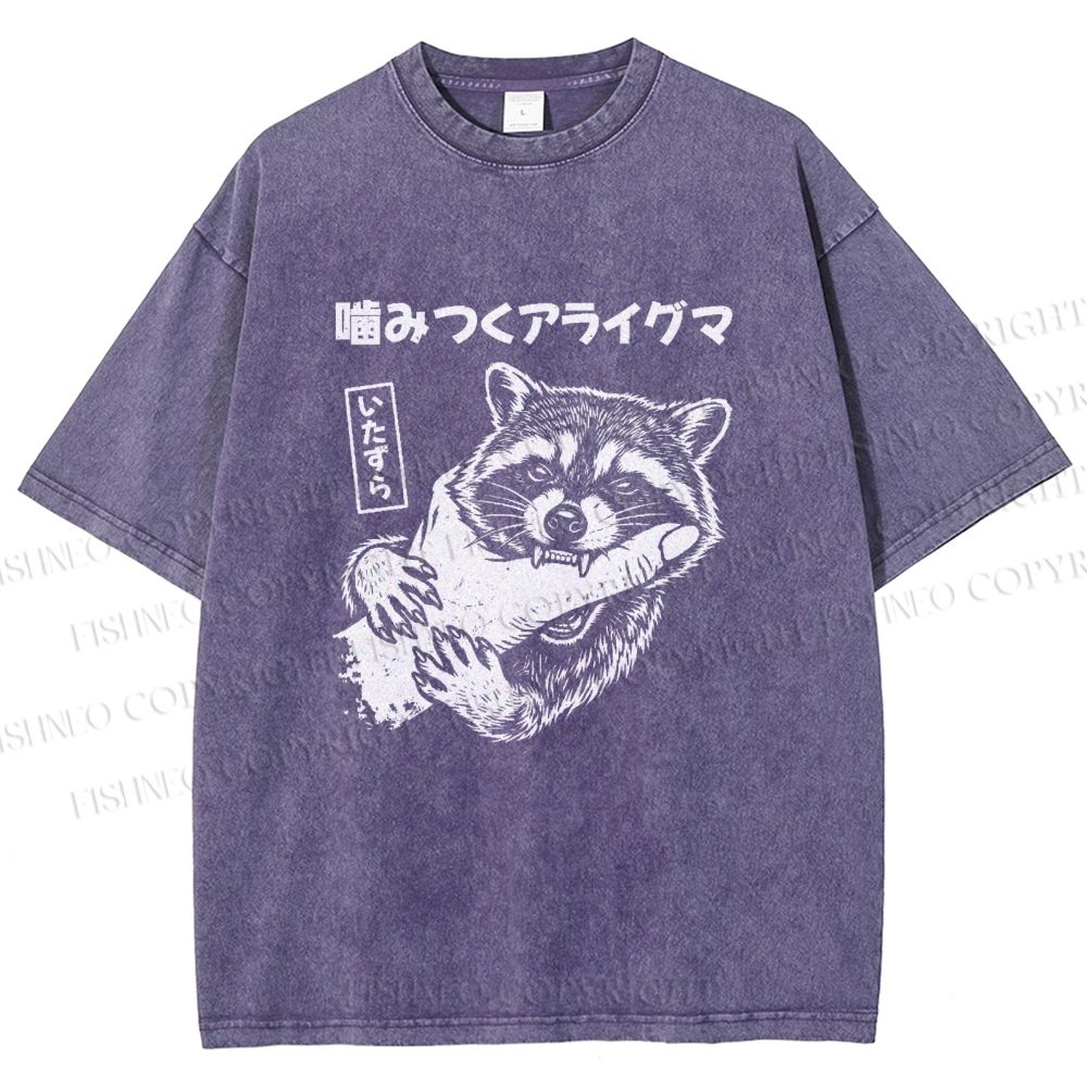Unisex Mischief Raccoon Printed Washed Tee