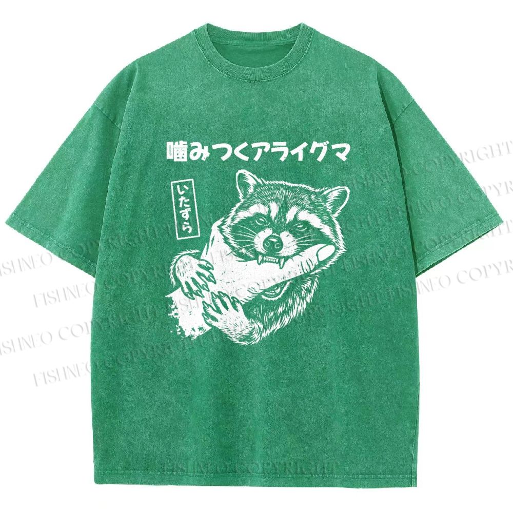 Unisex Mischief Raccoon Printed Washed Tee
