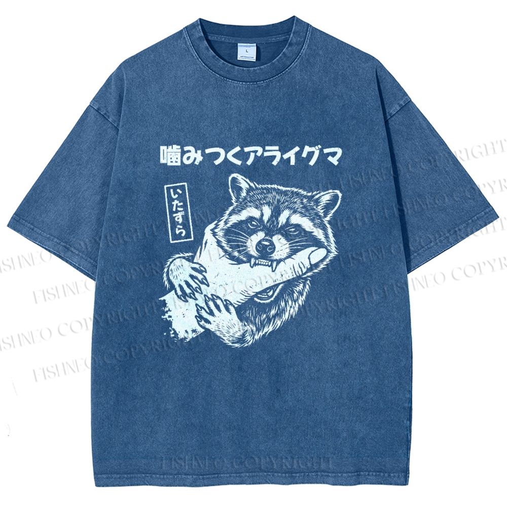 Unisex Mischief Raccoon Printed Washed Tee