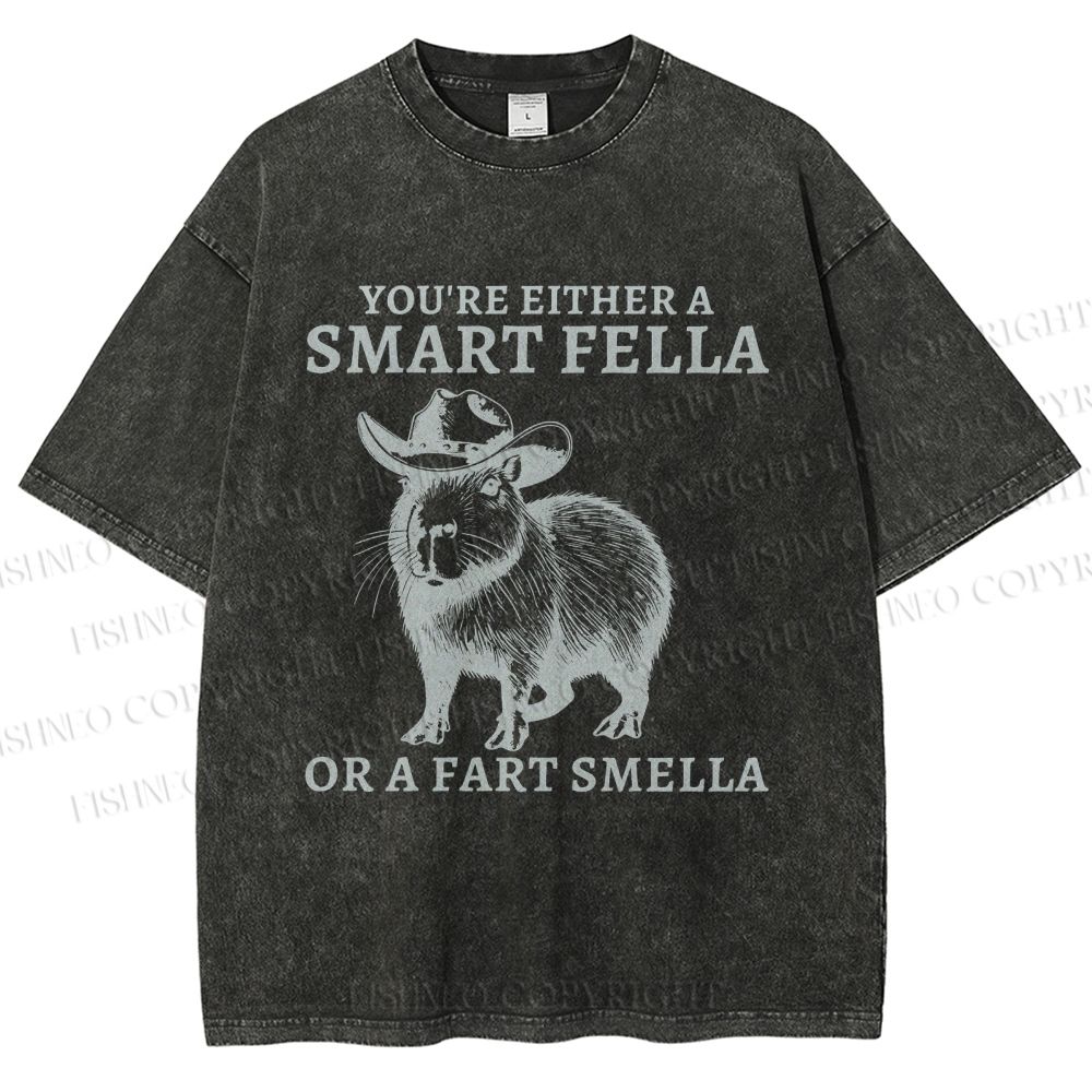 Unisex Smart Fella Capybara Printed Washed Tee