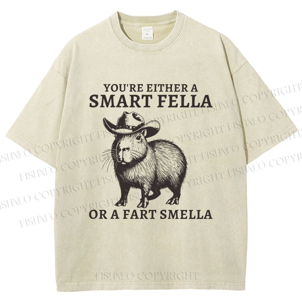 Unisex Smart Fella Capybara Printed Washed Tee