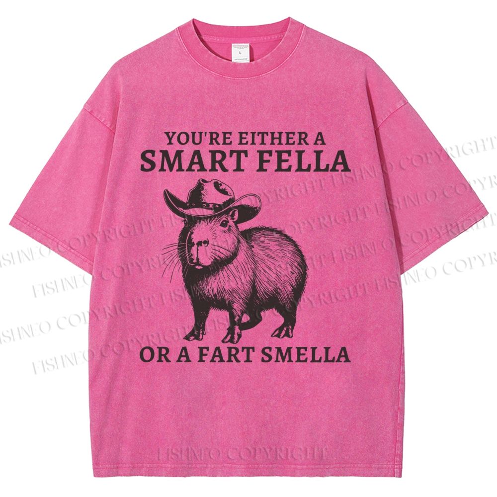 Unisex Smart Fella Capybara Printed Washed Tee