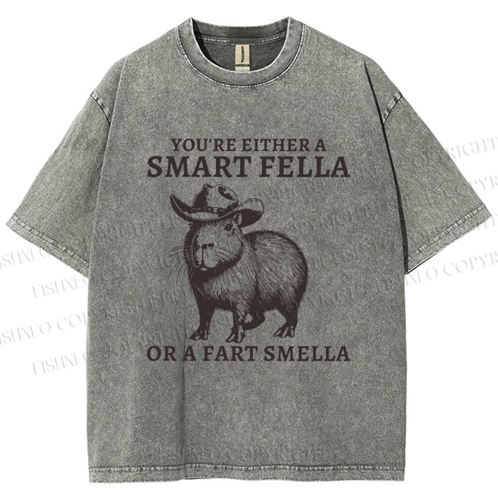 Unisex Smart Fella Capybara Printed Washed Tee