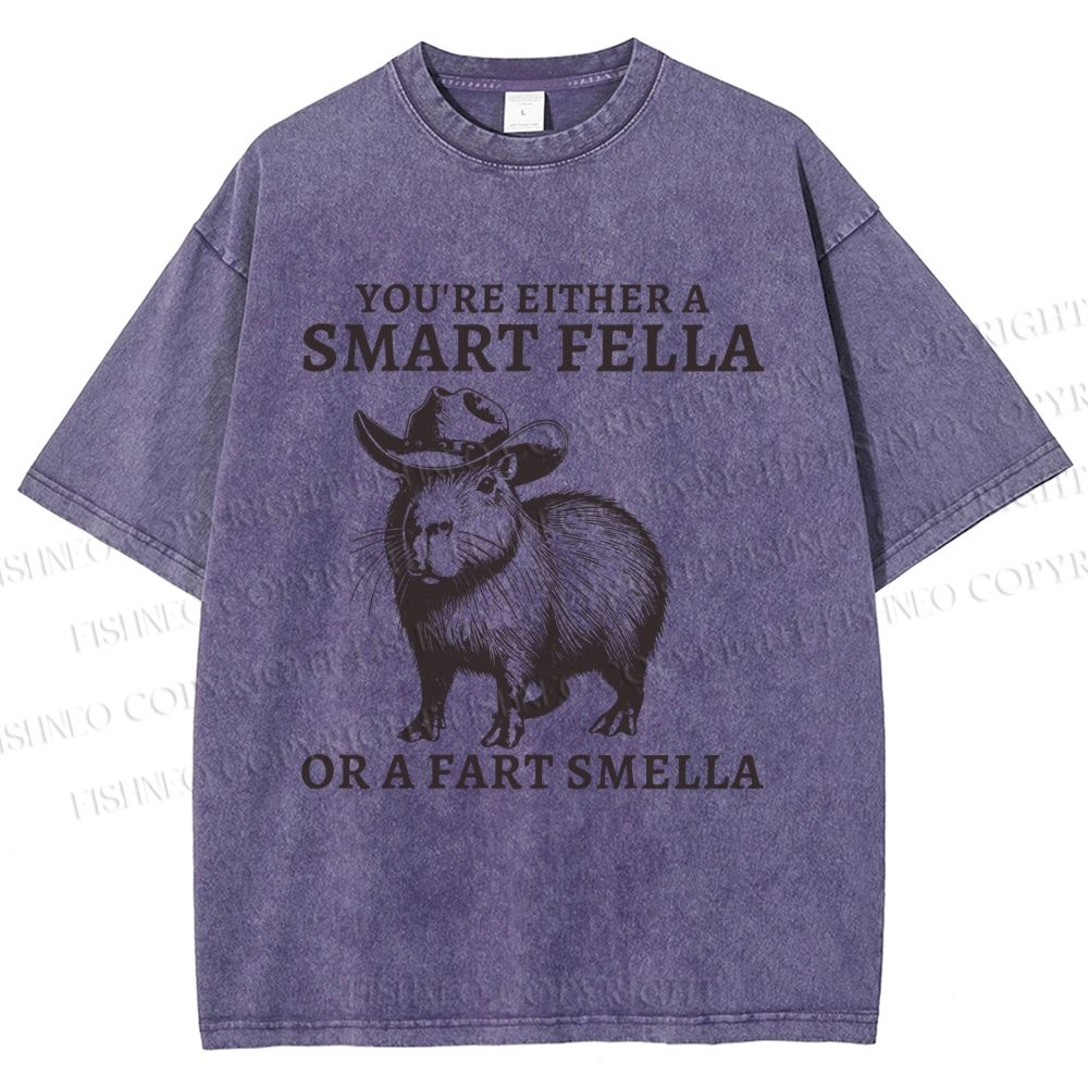 Unisex Smart Fella Capybara Printed Washed Tee