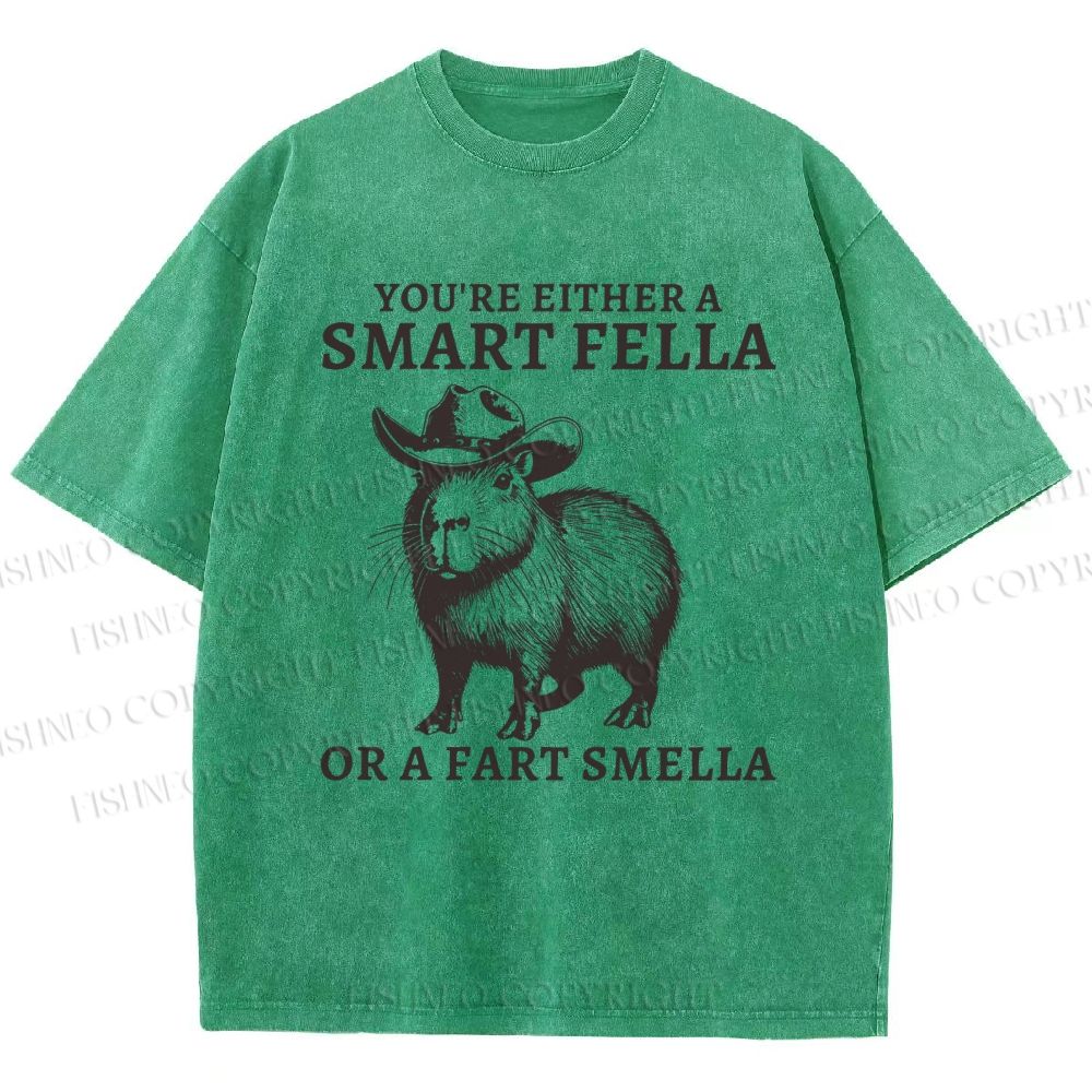 Unisex Smart Fella Capybara Printed Washed Tee