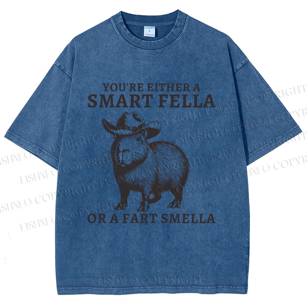 Unisex Smart Fella Capybara Printed Washed Tee