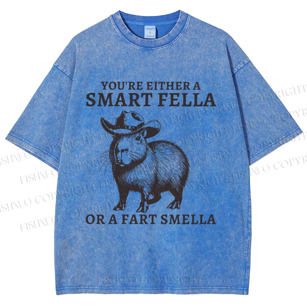 Unisex Smart Fella Capybara Printed Washed Tee