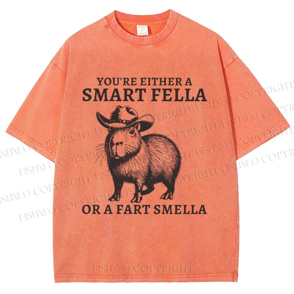 Unisex Smart Fella Capybara Printed Washed Tee