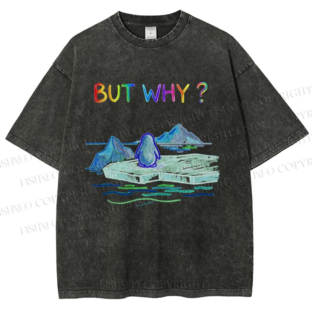 Unisex BUT WHY? Printed Washed Tee