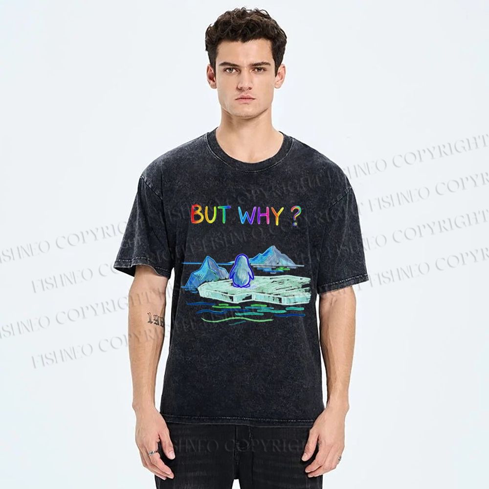 Unisex BUT WHY? Printed Washed Tee
