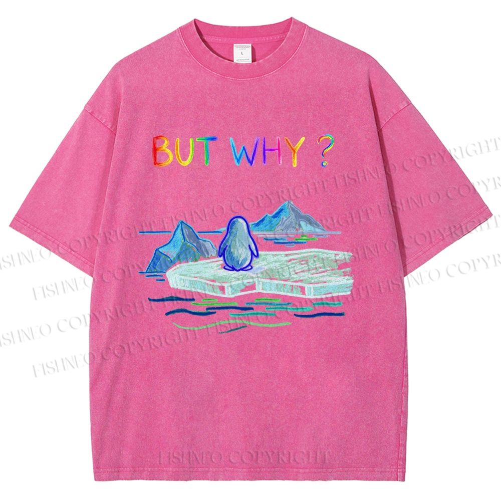 Unisex BUT WHY? Printed Washed Tee