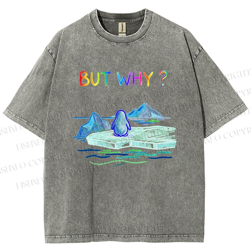 Unisex BUT WHY? Printed Washed Tee