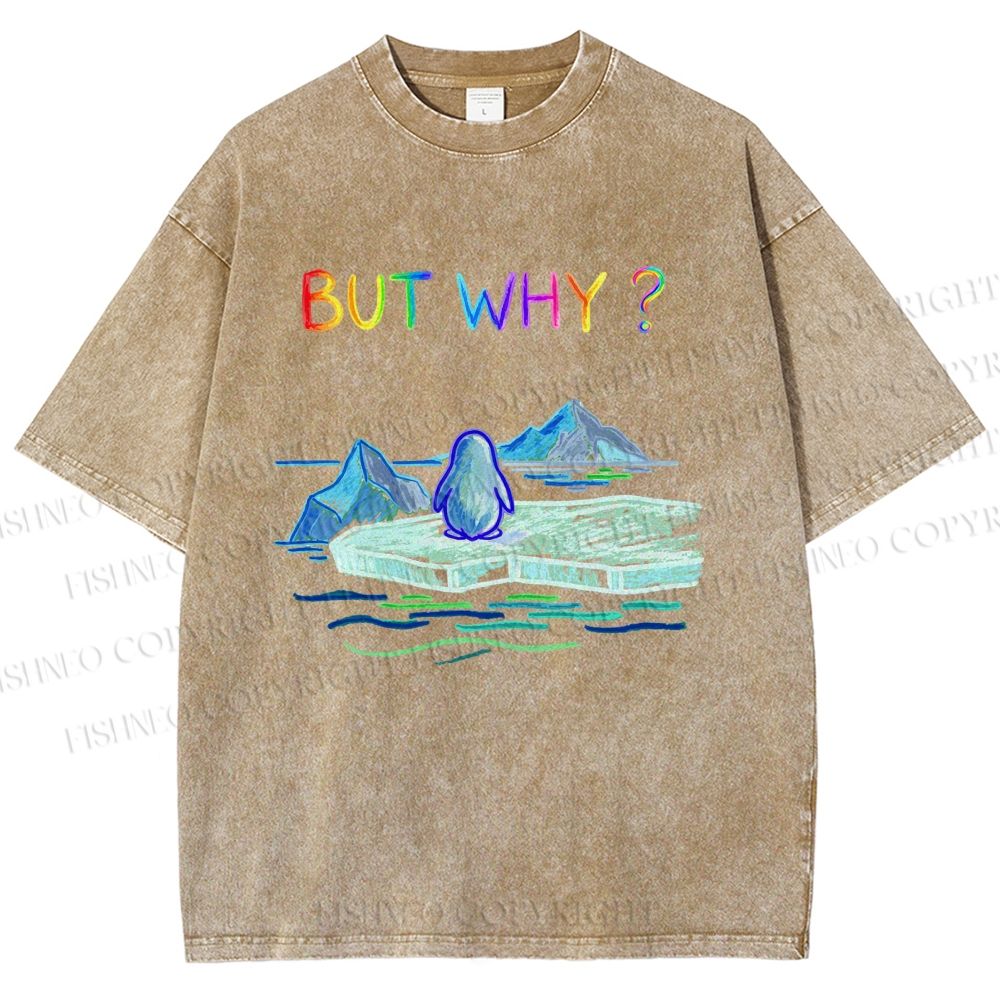 Unisex BUT WHY? Printed Washed Tee