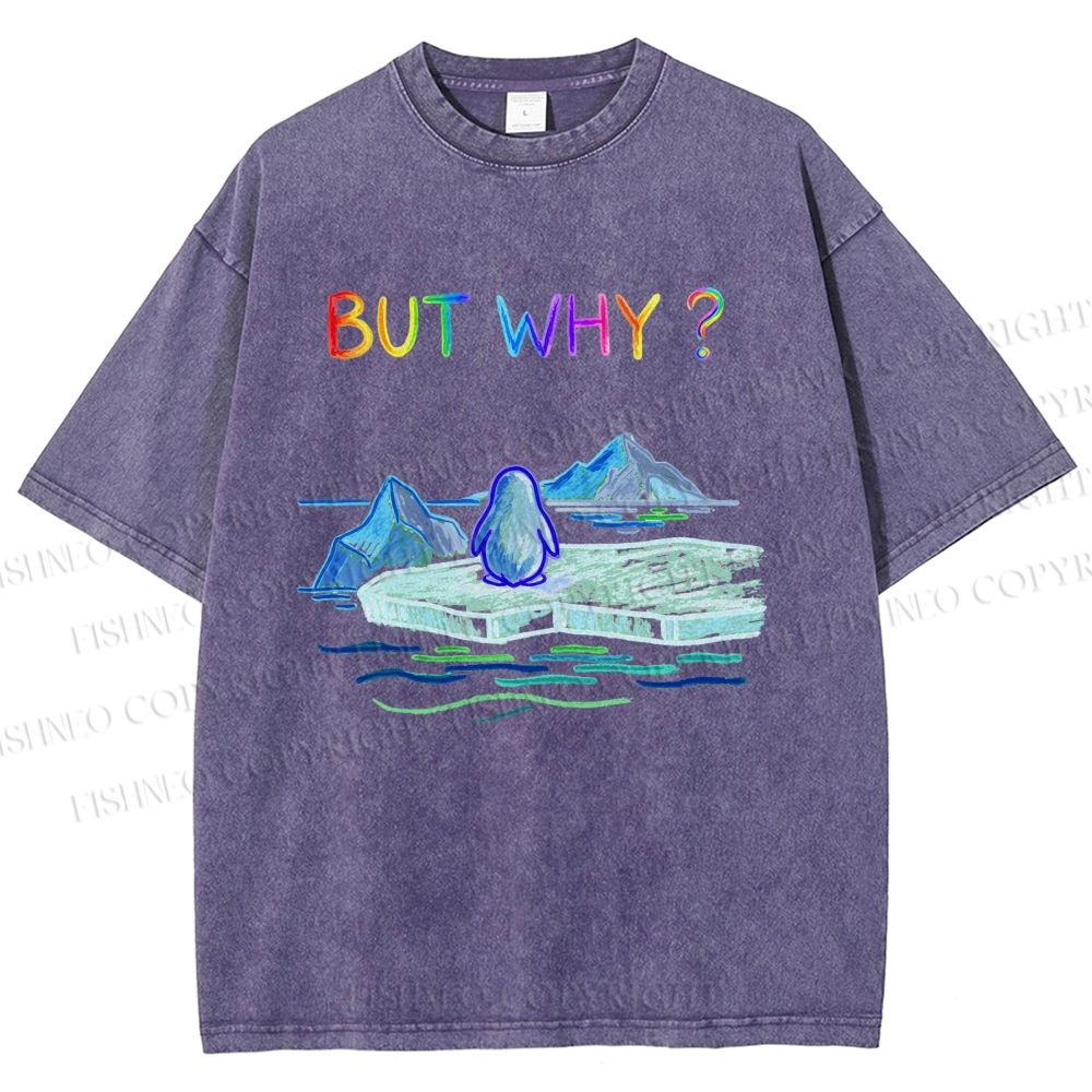Unisex BUT WHY? Printed Washed Tee