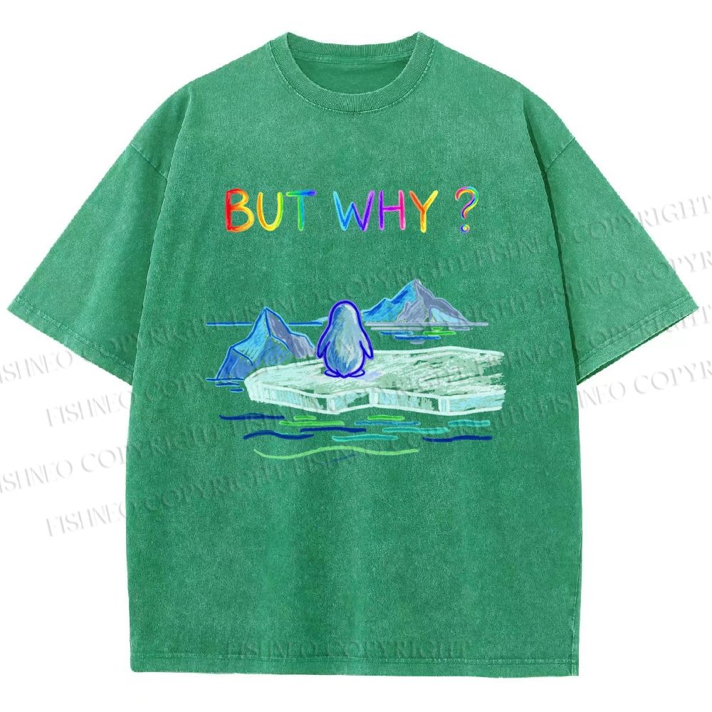 Unisex BUT WHY? Printed Washed Tee