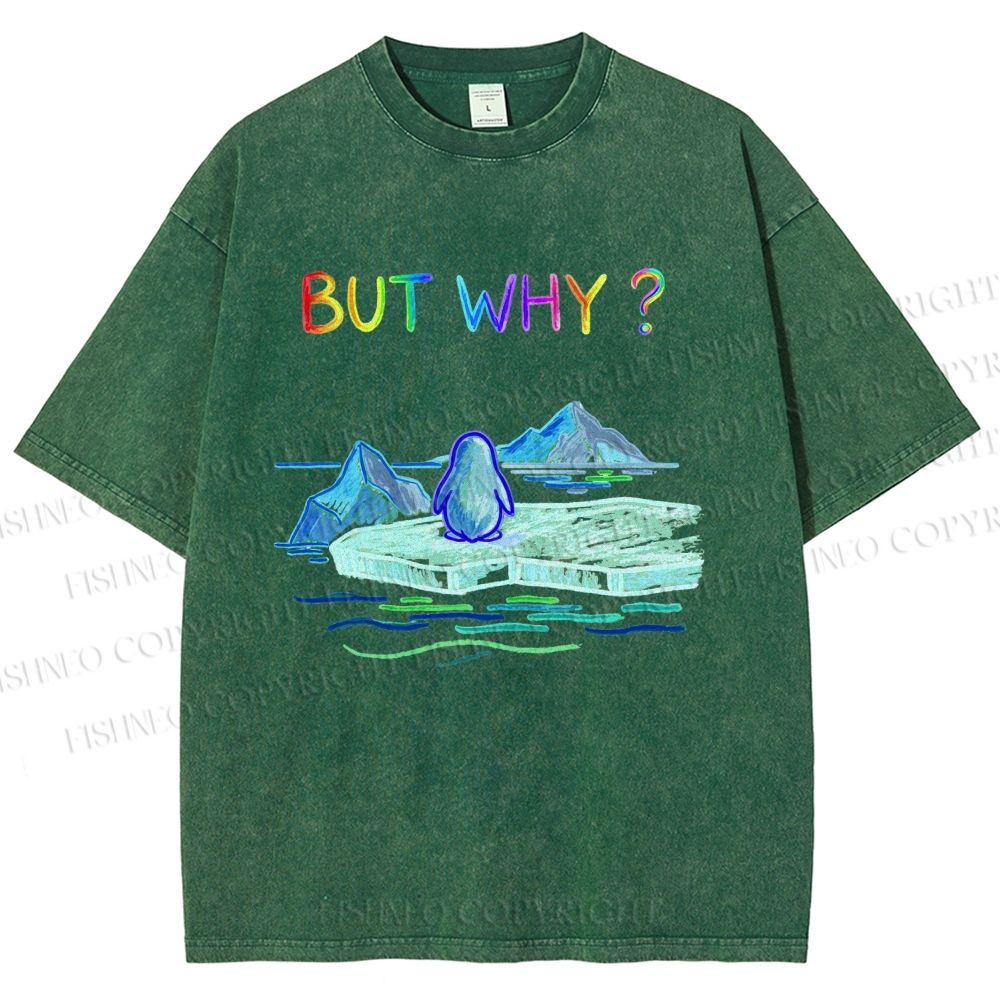 Unisex BUT WHY? Printed Washed Tee