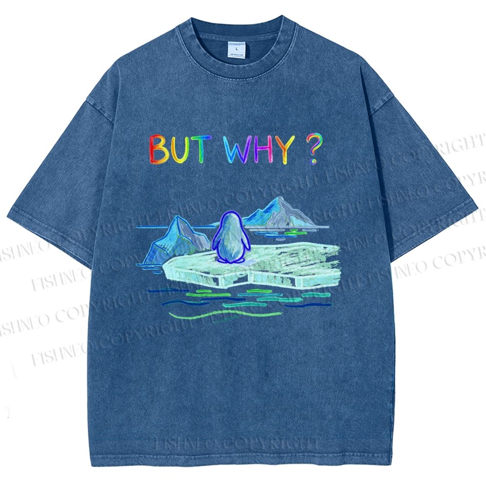 Unisex BUT WHY? Printed Washed Tee