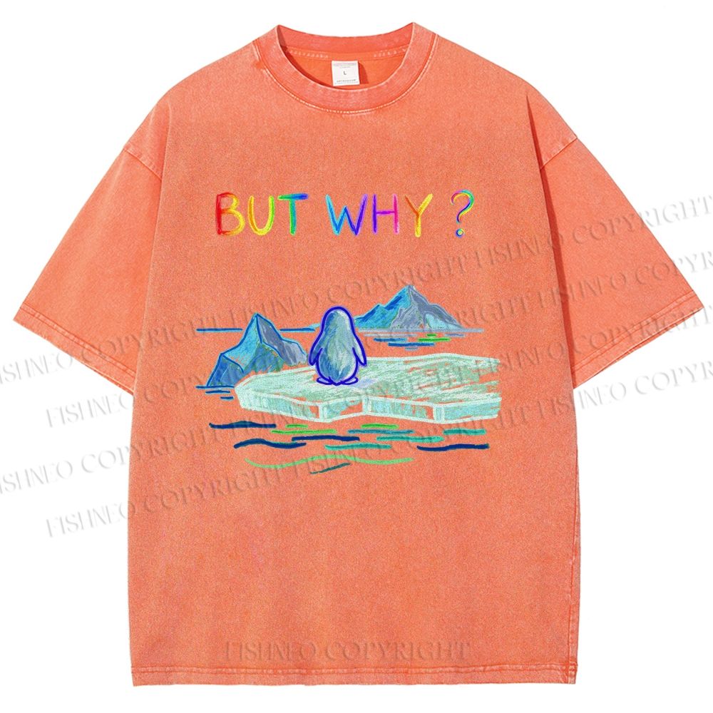 Unisex BUT WHY? Printed Washed Tee
