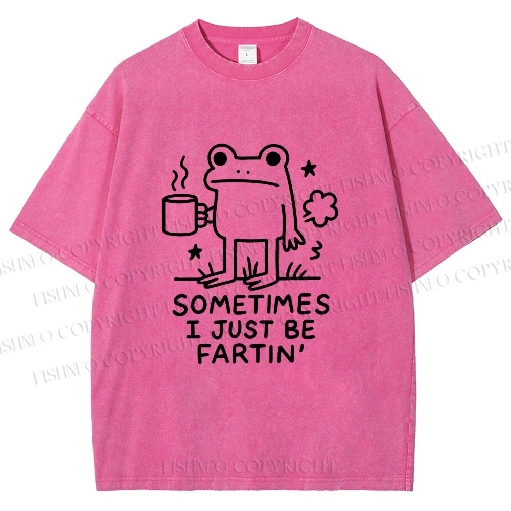 Unisex Sometimes A Frog Just Needs To Fart Printed Washed Tee