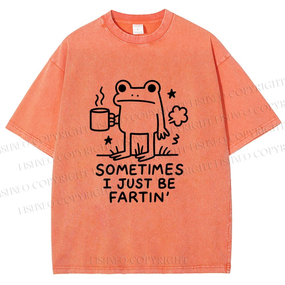Unisex Sometimes A Frog Just Needs To Fart Printed Washed Tee