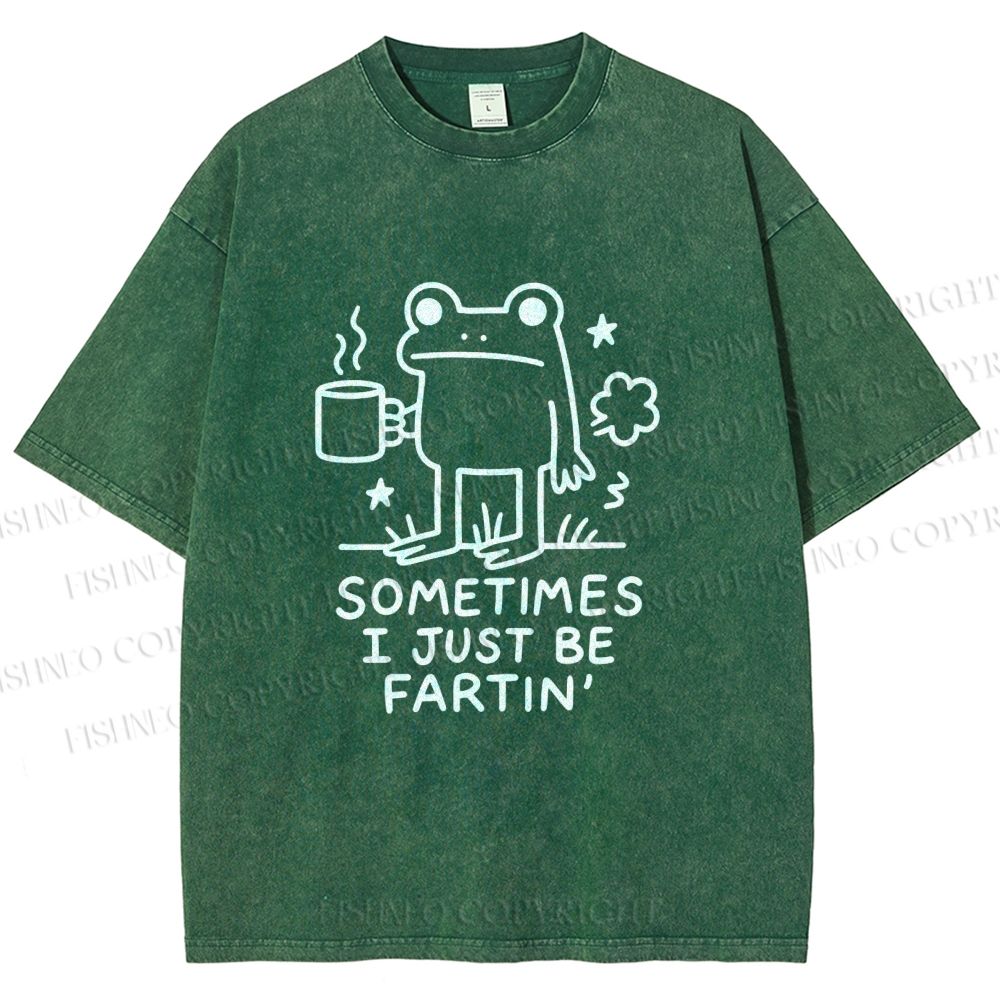 Unisex Sometimes A Frog Just Needs To Fart Printed Washed Tee