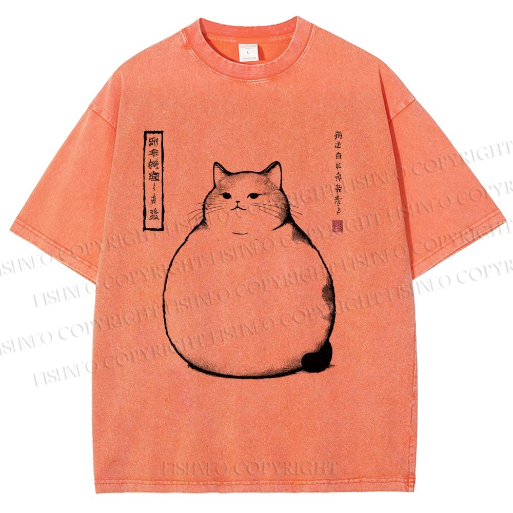 Unisex Chonky Cat Printed Washed Tee