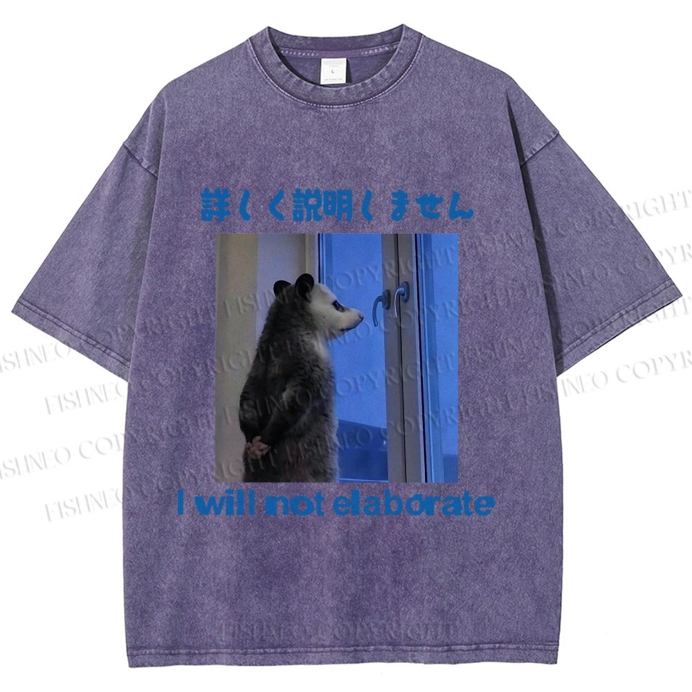 Unisex I Will not Elaborate Funny Opossum Printed Washed Tee