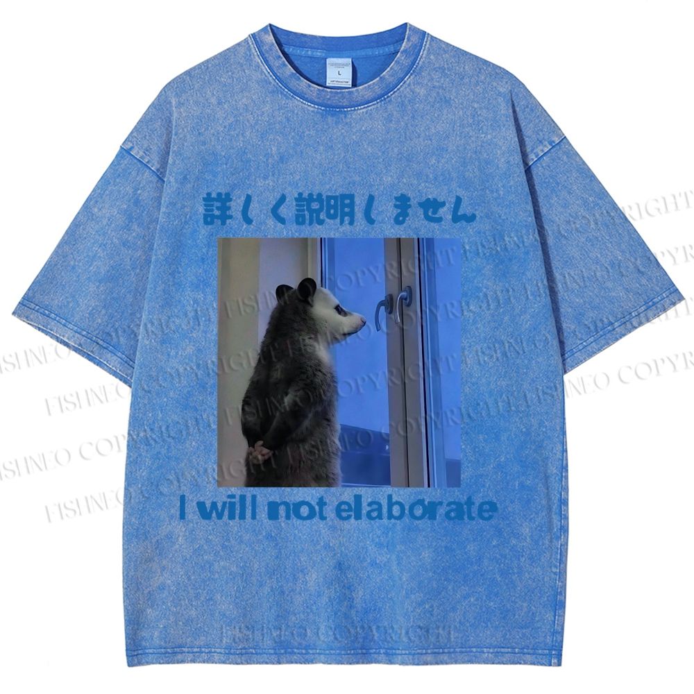 Unisex I Will not Elaborate Funny Opossum Printed Washed Tee