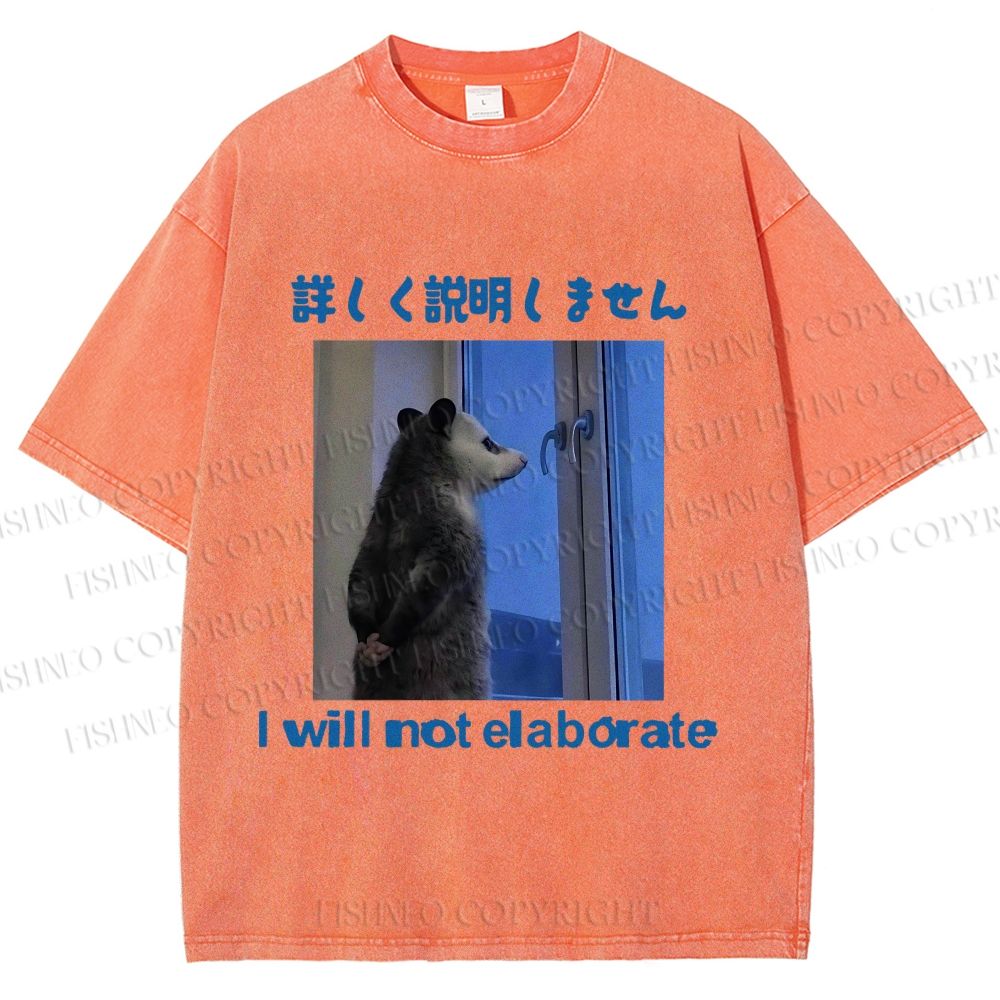Unisex I Will not Elaborate Funny Opossum Printed Washed Tee