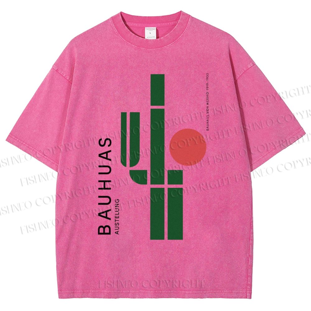 Unisex Mexican Bauhaus Cactus Printed Washed Tee