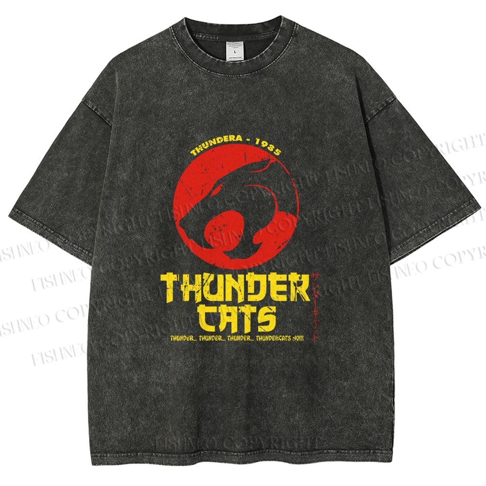 Unisex Thundercats in Hattori Hanzo Design Printed Washed Tee