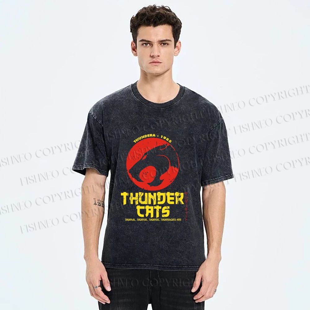 Unisex Thundercats in Hattori Hanzo Design Printed Washed Tee