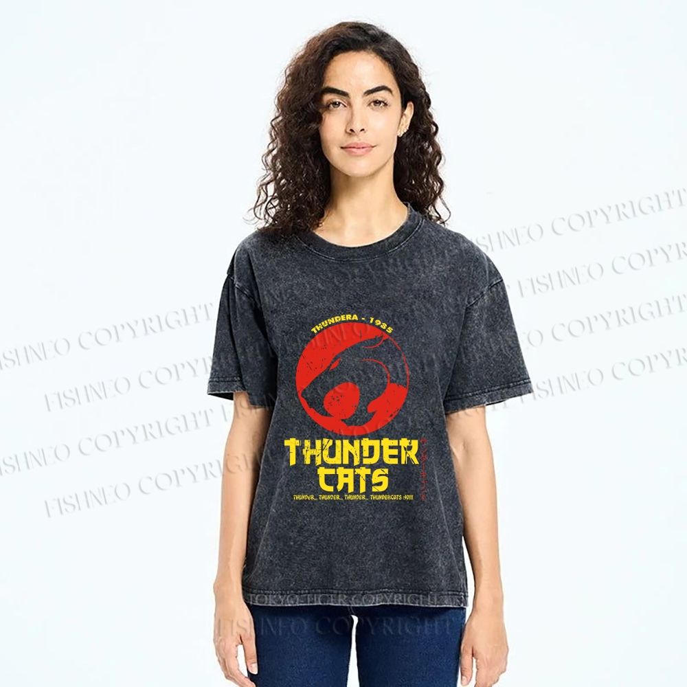 Unisex Thundercats in Hattori Hanzo Design Printed Washed Tee