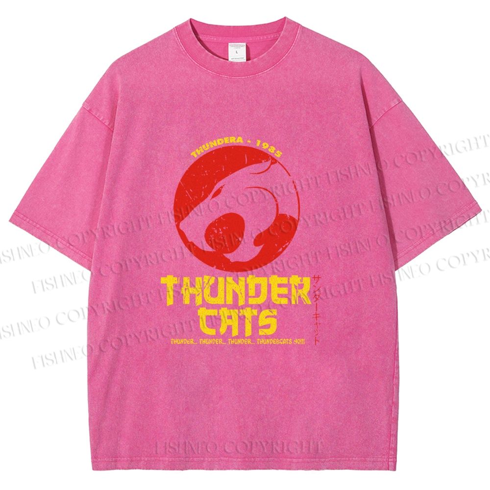 Unisex Thundercats in Hattori Hanzo Design Printed Washed Tee