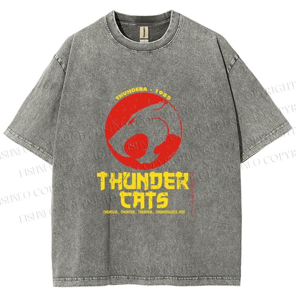 Unisex Thundercats in Hattori Hanzo Design Printed Washed Tee