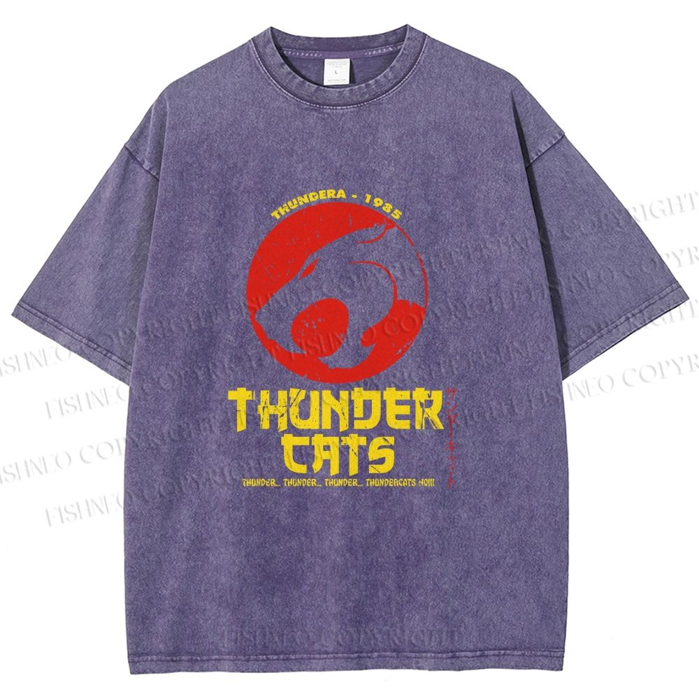 Unisex Thundercats in Hattori Hanzo Design Printed Washed Tee