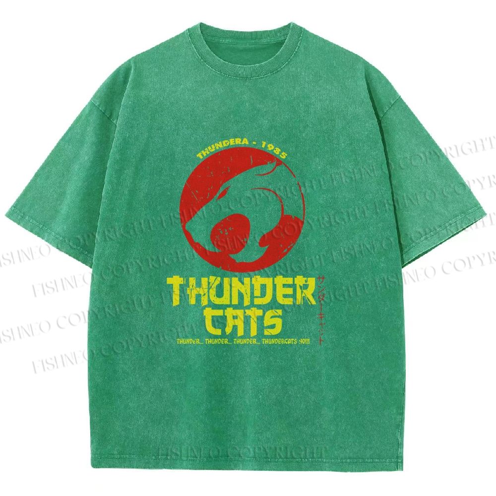 Unisex Thundercats in Hattori Hanzo Design Printed Washed Tee