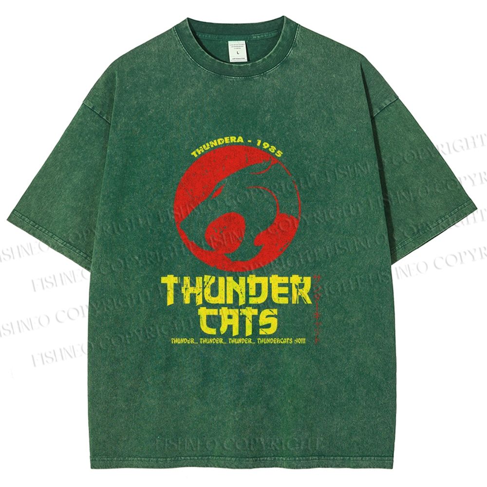 Unisex Thundercats in Hattori Hanzo Design Printed Washed Tee