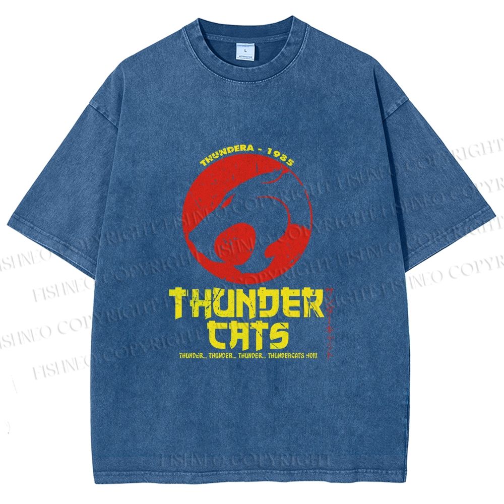 Unisex Thundercats in Hattori Hanzo Design Printed Washed Tee