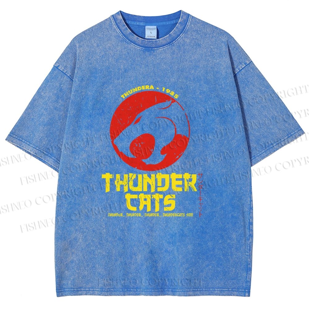 Unisex Thundercats in Hattori Hanzo Design Printed Washed Tee