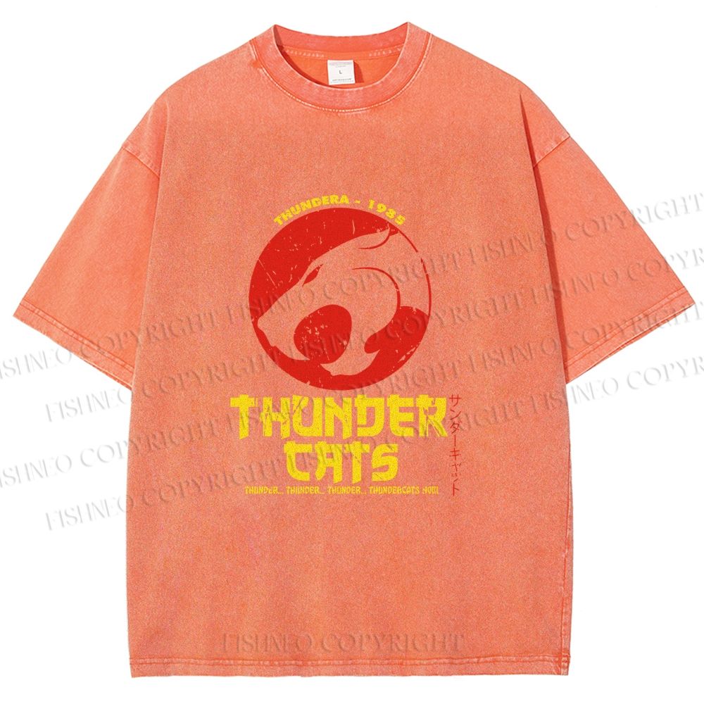 Unisex Thundercats in Hattori Hanzo Design Printed Washed Tee