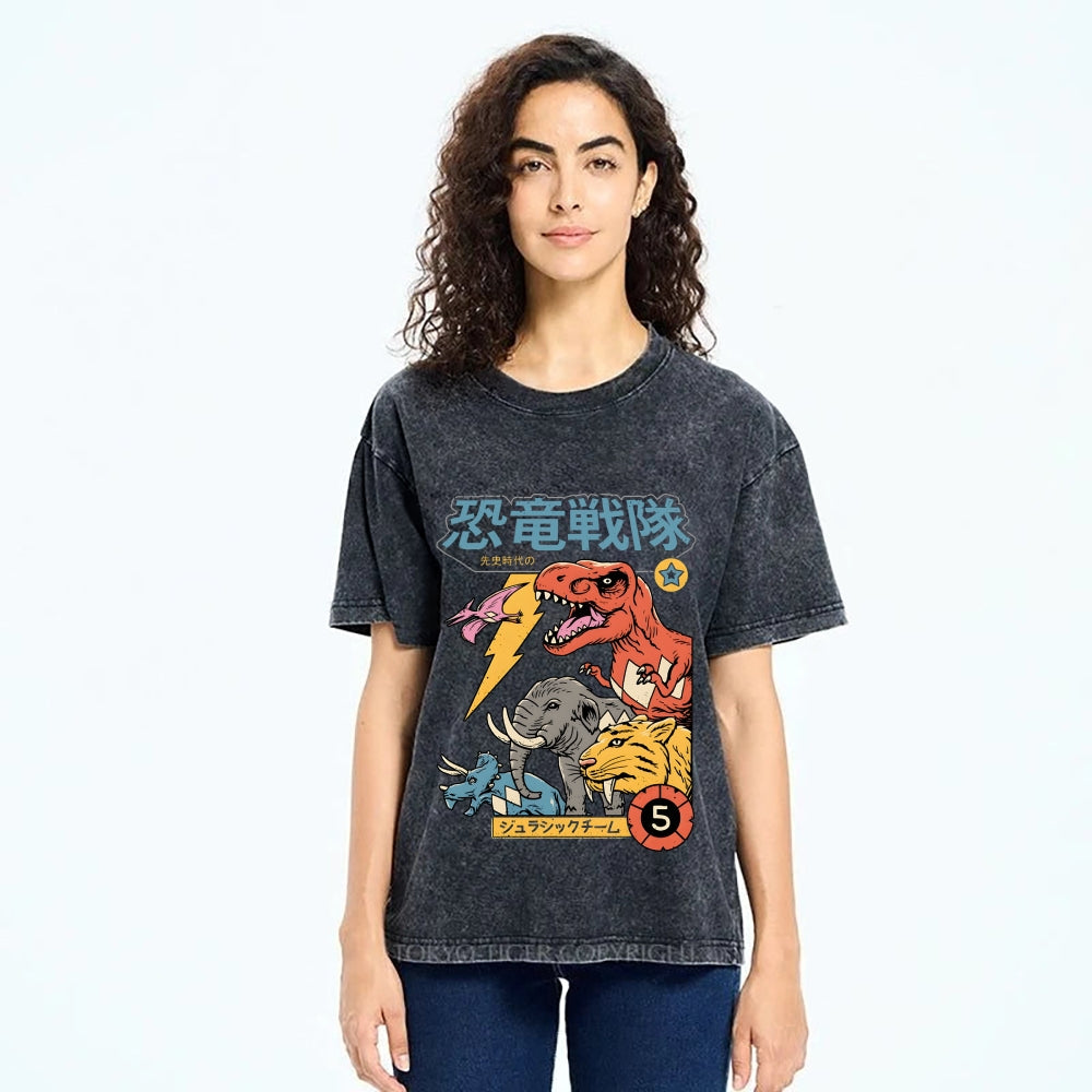 Dino Sentai  Vintage Wash Japanese Design T-Shirt
