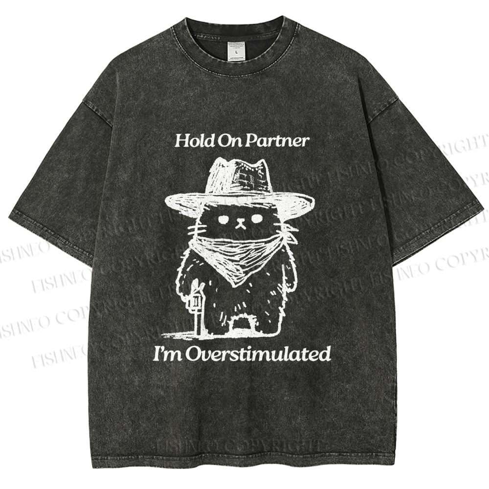 Unisex Overstimulated Cowboy Cat Printed Washed Tee