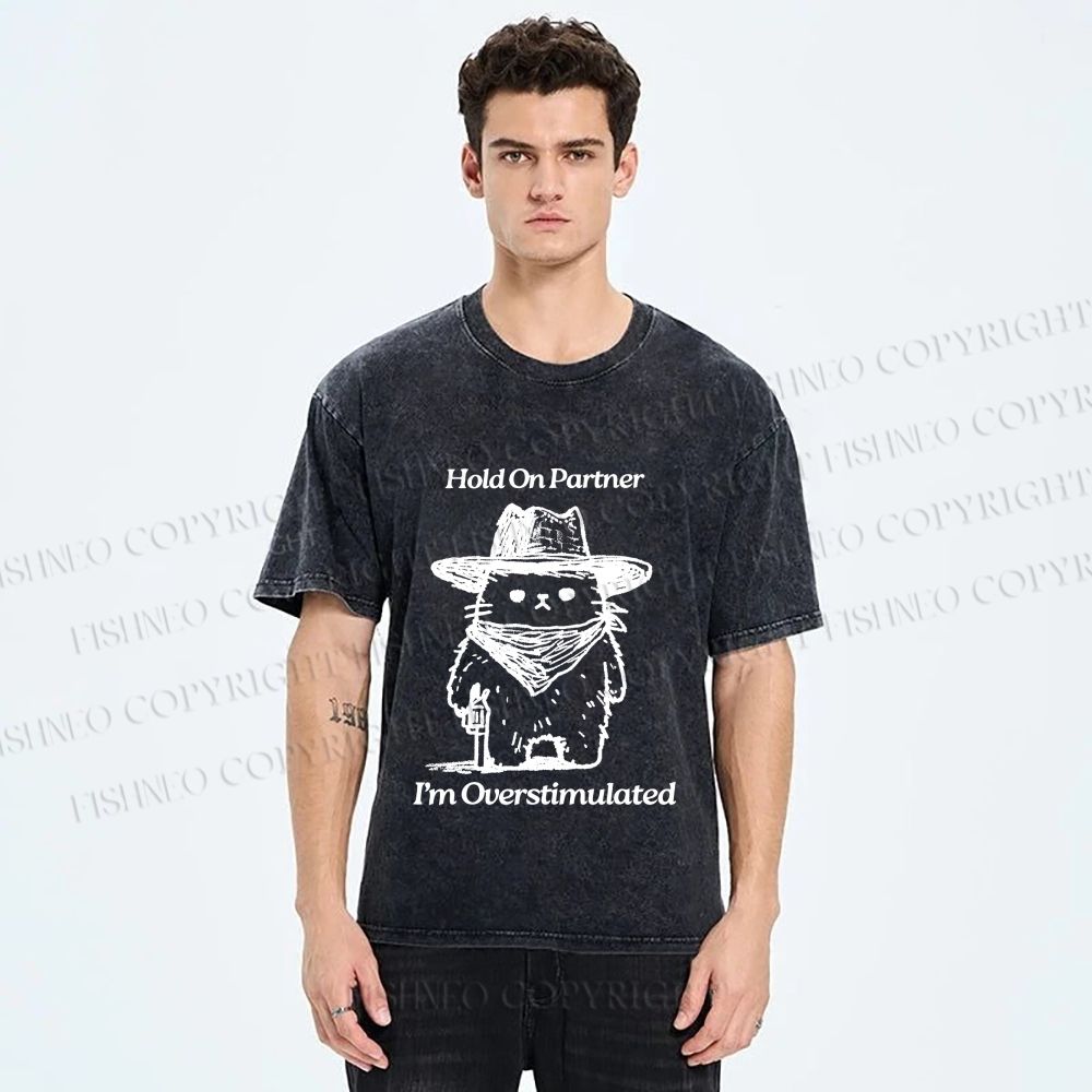 Unisex Overstimulated Cowboy Cat Printed Washed Tee