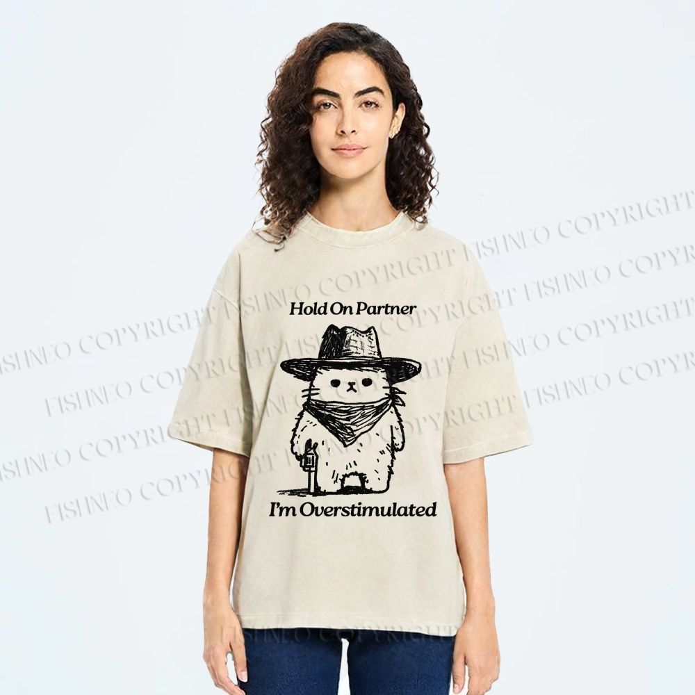 Unisex Overstimulated Cowboy Cat Printed Washed Tee